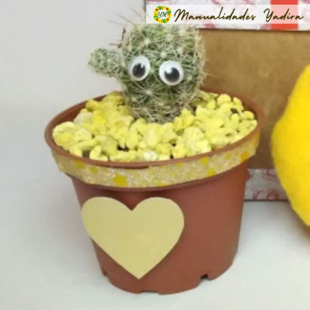 Greenpet baby, un cactus pequeño para regalar vida.